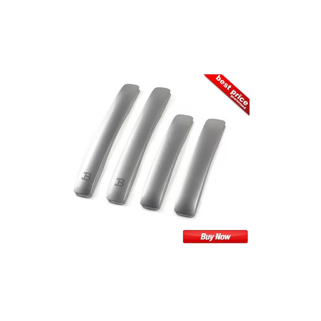 Buy Black Label (BL) Silver SimpleLine Door Guards at low prices-RideoFrenzy