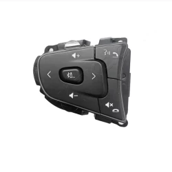 Buy Tata Tiago (2021-2025) Original Steering Control Online India | RideoFrenzy