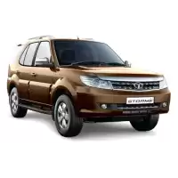 Safari Storme